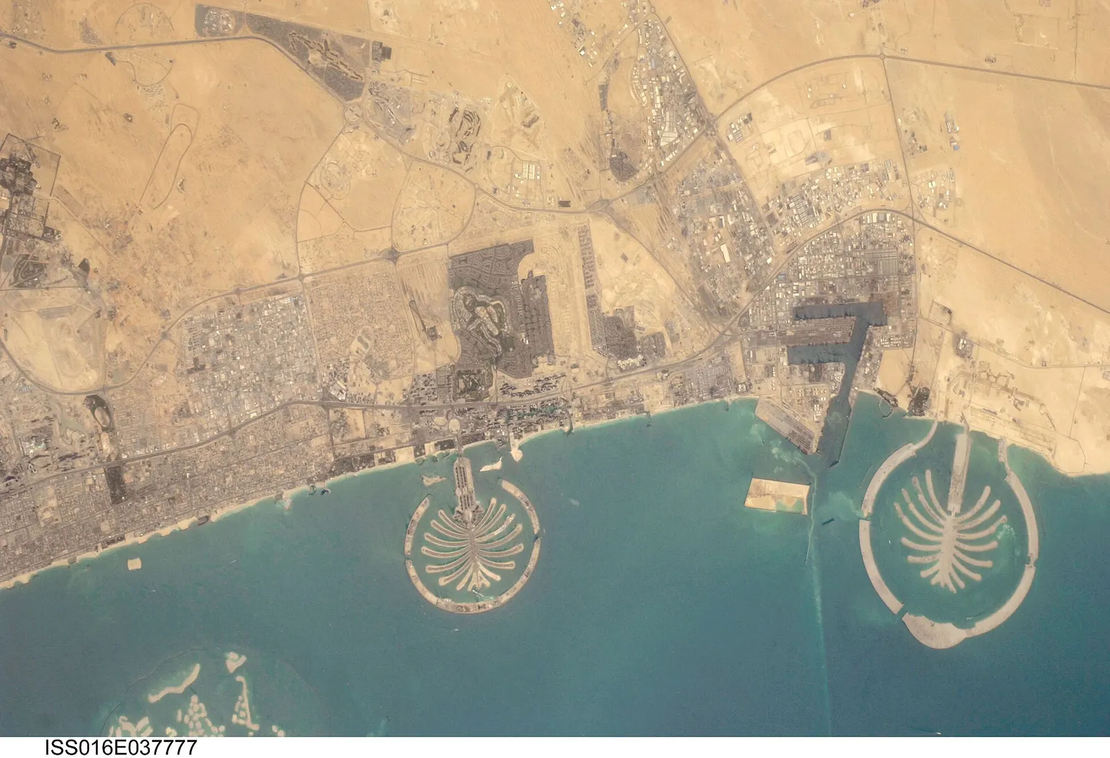 Palm Jebel Ali